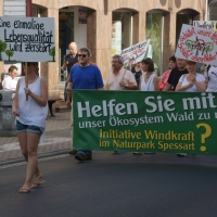 Gelnhausen-20140718 (33).jpg